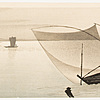 Schuler Auktionen AG - Lot: 7 Farbholzschnitte von Ohara Koson/Shoson (1877–1945)