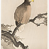 Schuler Auktionen AG - Lot: 15 Farbholzschnitte von Ohara Koson/Shoson (1877–1945)
