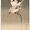 Schuler Auktionen AG - Lot: 15 Farbholzschnitte von Ohara Koson/Shoson (1877–1945)