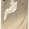Schuler Auktionen AG - Lot: 15 Farbholzschnitte von Ohara Koson/Shoson (1877–1945)