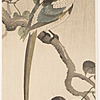 Schuler Auktionen AG - Lot: 15 Farbholzschnitte von Ohara Koson/Shoson (1877–1945)