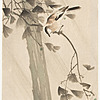 Schuler Auktionen AG - Lot: 15 Farbholzschnitte von Ohara Koson/Shoson (1877–1945)