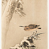Schuler Auktionen AG - Lot: 15 Farbholzschnitte von Ohara Koson/Shoson (1877–1945)