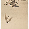 Schuler Auktionen AG - Lot: 15 Farbholzschnitte von Ohara Koson/Shoson (1877–1945)