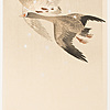 Schuler Auktionen AG - Lot: 15 Farbholzschnitte von Ohara Koson/Shoson (1877–1945)