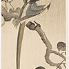 Schuler Auktionen AG - Lot: 15 Farbholzschnitte von Ohara Koson/Shoson (1877–1945)