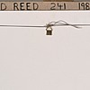 Schuler Auktionen AG - Reed, David