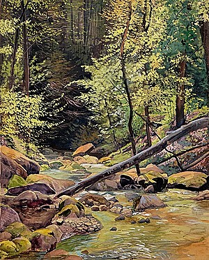 Schuler Auktionen AG - Baumberger, Otto