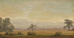 Schuler Auktionen AG - Voltz, Friedrich Johann 