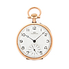 Schuler Auktionen AG - IWC 