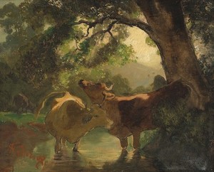 Schuler Auktionen AG - Koller, Rudolf