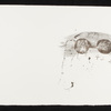 Schuler Auktionen AG - Tapies, Antoni
