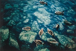 Schuler Auktionen AG - Keel, Philipp