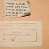 Schuler Auktionen AG - Giacometti, Augusto