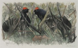 Schuler Auktionen AG - Hainard, Robert