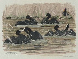 Schuler Auktionen AG - Hainard, Robert