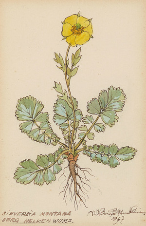 Schuler Auktionen AG - Stoecklin, Niklaus