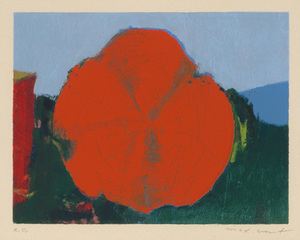 Schuler Auktionen AG - Ernst, Max