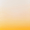 Schuler Auktionen AG - Soland, Gottlieb 