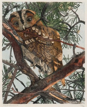 Schuler Auktionen AG - Hainard, Robert