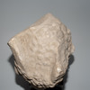 Schuler Auktionen AG - Widderkopf-Fragment