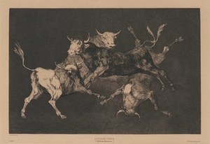Schuler Auktionen AG - Goya, Francisco de
