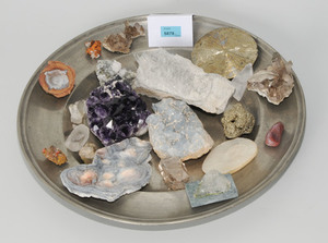 Schuler Auktionen AG - Lot Mineralien und Muscheln