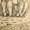 Schuler Auktionen AG - Hodler, Ferdinand