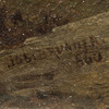 Schuler Auktionen AG - Brunner, Joseph