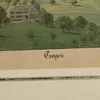 Schuler Auktionen AG - Fitzi, Johann Ulrich