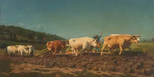 Schuler Auktionen AG - Bonheur, Rosa