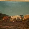 Schuler Auktionen AG - Bonheur, Rosa