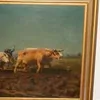 Schuler Auktionen AG - Bonheur, Rosa
