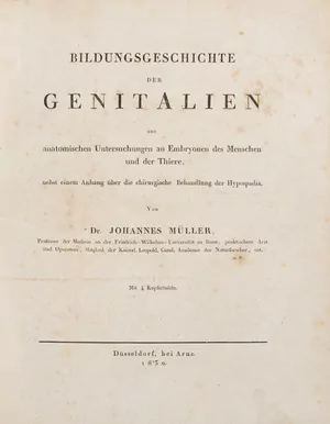 Schuler Auktionen AG - Johannes Muller