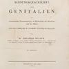 Schuler Auktionen AG - Johannes Muller