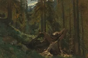 Schuler Auktionen AG - Castan, Gustave