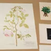 Schuler Auktionen AG - Blumen und Früchte