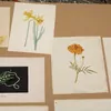 Schuler Auktionen AG - Blumen und Früchte