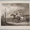 Schuler Auktionen AG - Pferde und Jagd