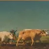 Schuler Auktionen AG - Bonheur, Rosa