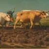 Schuler Auktionen AG - Bonheur, Rosa