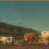 Schuler Auktionen AG - Bonheur, Rosa