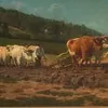 Schuler Auktionen AG - Bonheur, Rosa