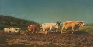Schuler Auktionen AG - Bonheur, Rosa