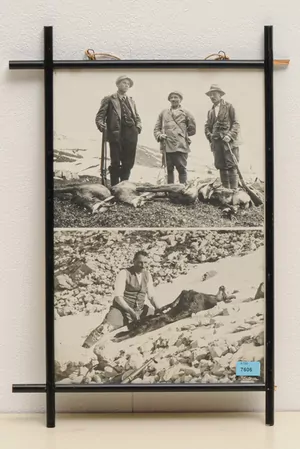 Schuler Auktionen AG - Dreyfuss, Paul