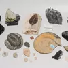 Schuler Auktionen AG - Lot: Mineralien und Versteinerungen