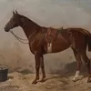 Schuler Auktionen AG - Volkers, Emil 
