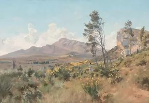 Schuler Auktionen AG - Garibaldi, Joseph
