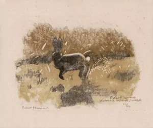 Schuler Auktionen AG - Hainard, Robert