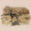 Schuler Auktionen AG - Hainard, Robert
